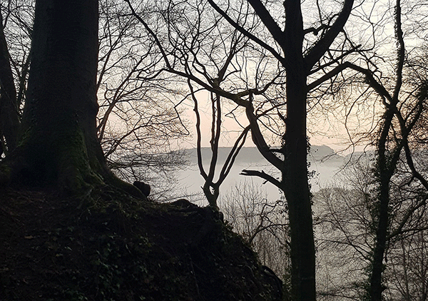 Photograph of calm Cotswold hills through trees